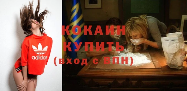 мдпв Богданович