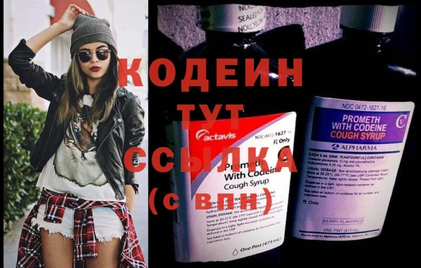 мдпв Богданович