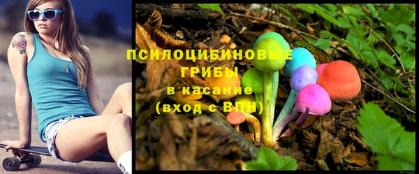 мдпв Богданович
