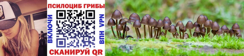 где купить   Бугуруслан  Галлюциногенные грибы мухоморы 